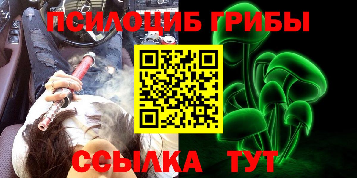 Луга  Галлюциногенные грибы мицелий  Вход с VPN  Галлюциногенные грибы Psilocybine cubensis 