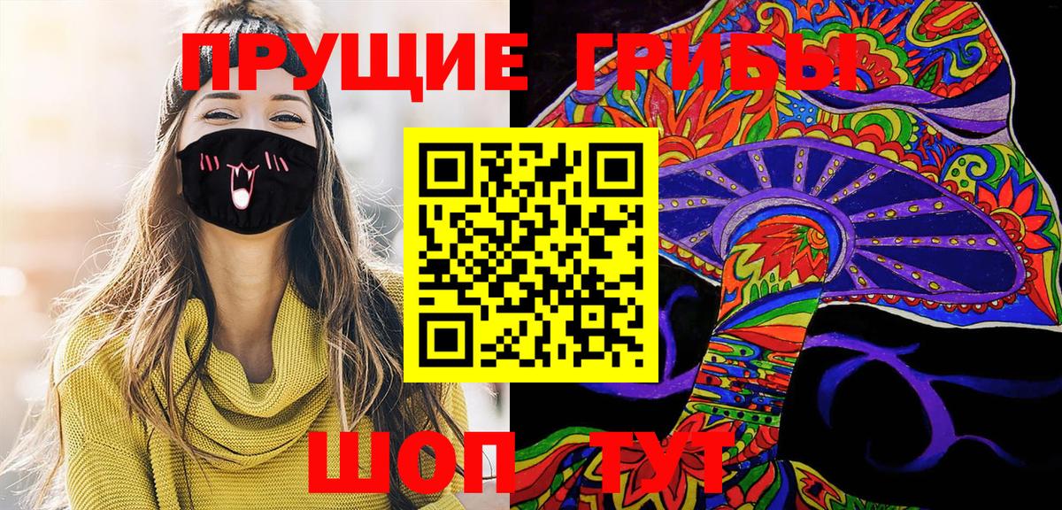 Псилоцибиновые грибы Cubensis Луга